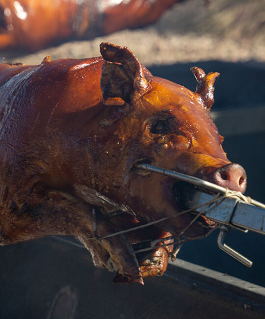 <em>Dine & Drink</em>