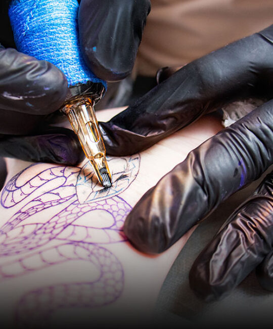 <em>Wellness & Style</em>